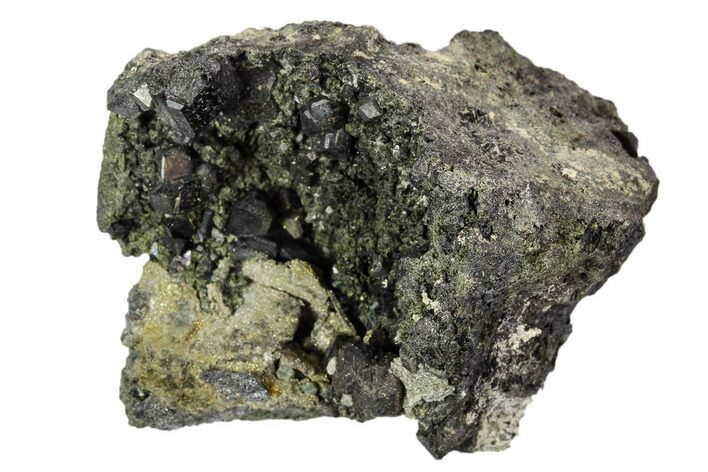 Black Andradite (Melanite) Garnet Cluster - Morocco #107905